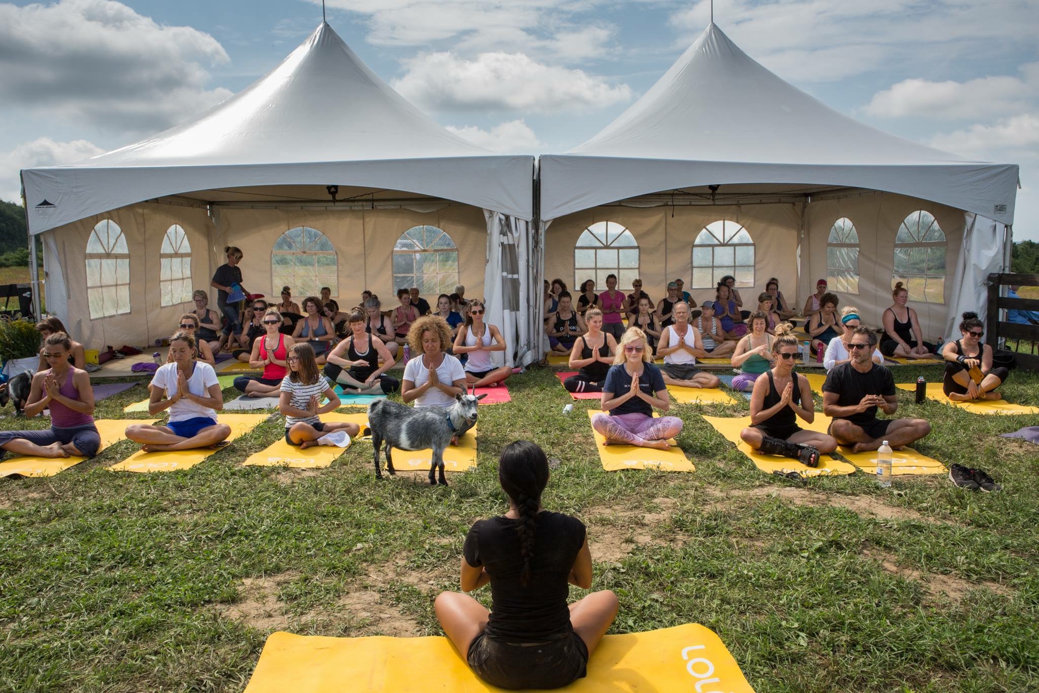 Yoga gratuit et picnic sur l’herbe, quoi demander de mieux?