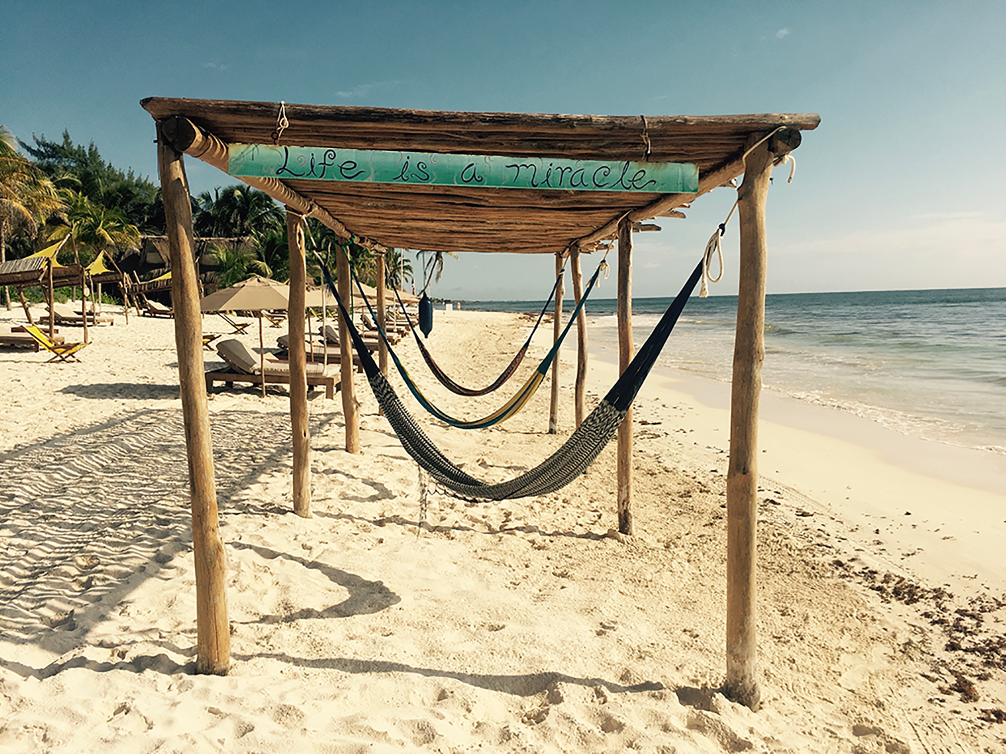 Next stop: A yoga retreat